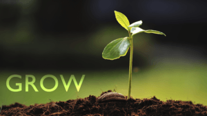 How to Grow in Christ