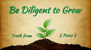 Growing in Christ