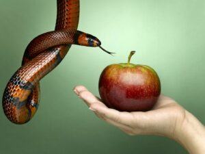 Growing Through Temptation - The first temptation