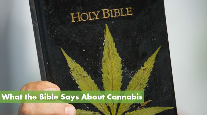 Marijuana and the Bible