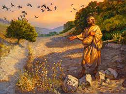 The Parable of the Sower Explained