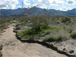 What is the Brook Cherith about? 